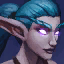 Night Elf